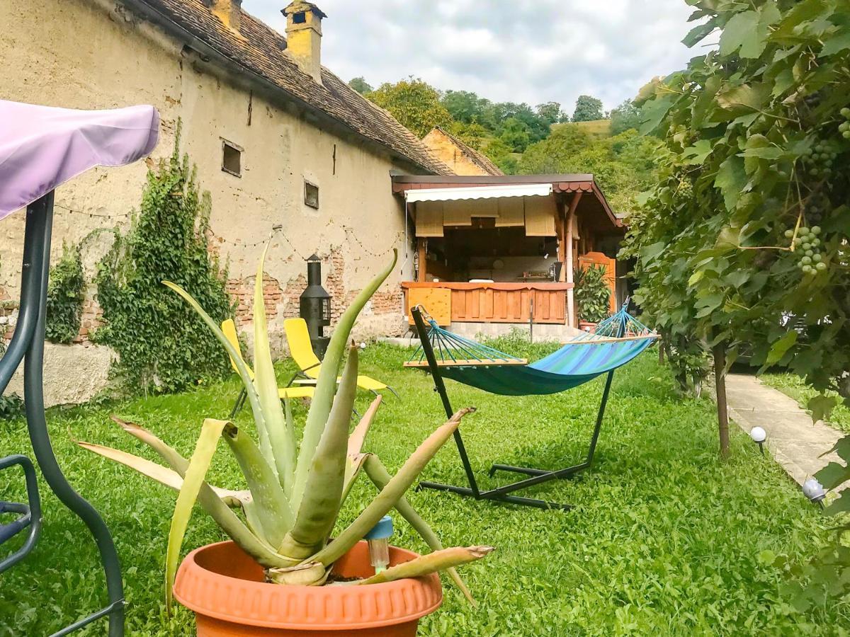 Apartmán Transylvania Escape Richisu Exteriér fotografie