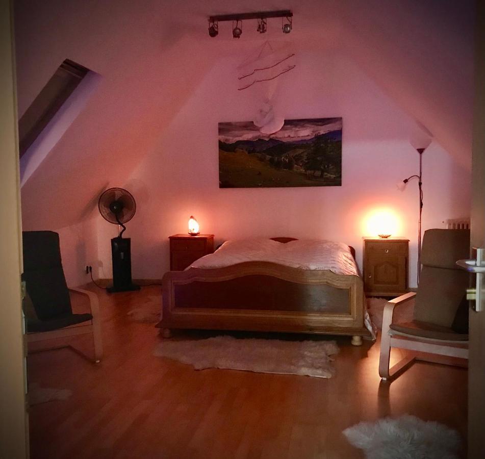 Apartmán Transylvania Escape Richisu Exteriér fotografie