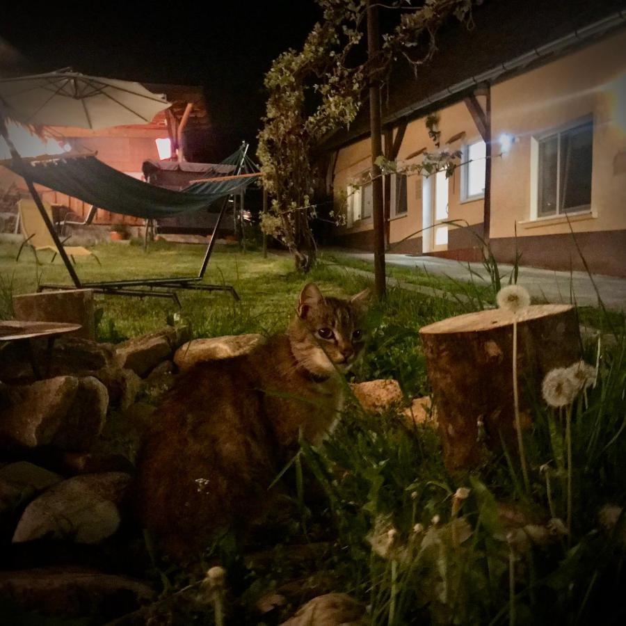Apartmán Transylvania Escape Richisu Exteriér fotografie